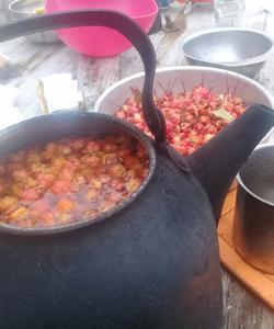 поход на Кольском полуострове