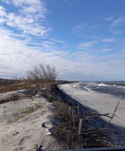 Куршская коса