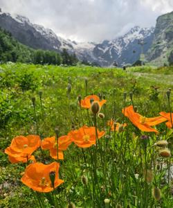 Кавказские горы