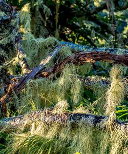 Тур по Курильским островам