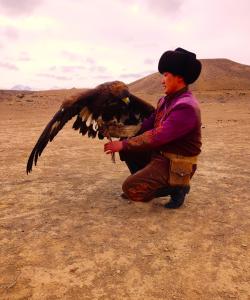 Шоу беркутов