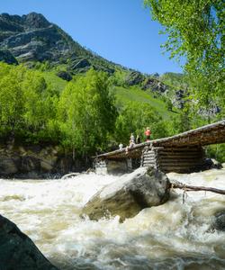 Тур на Алтай