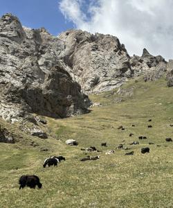 Горная природа