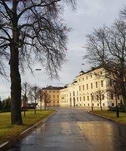 Константиновский дворец