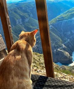 Сулакский каньон