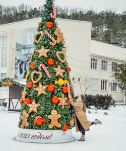 Новогодний тур