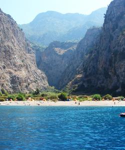 Долина бабочек