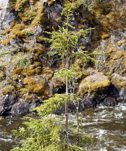 Весенний тур в Карелию