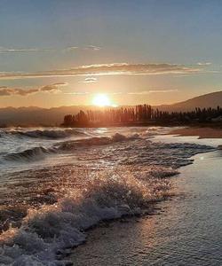 Местный пейзаж