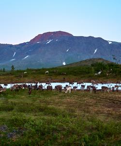 Летний тур на Полярный Урал