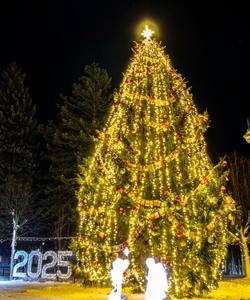 новогодний тур