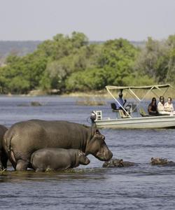 Круиз по реке Замбези