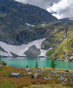 Местные пейзажи 