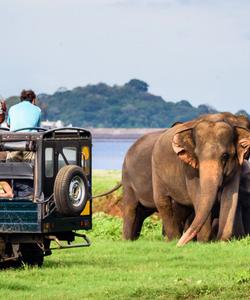 Сафари на Шри-Ланке