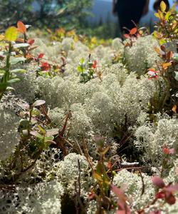 Поход на плато Кваркуш