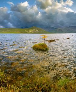 Коса Биологов