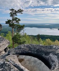 Местный пейзаж