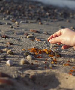 Тур в Калининградскую область