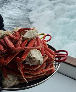 Камчатские деликатесы на морской прогулке