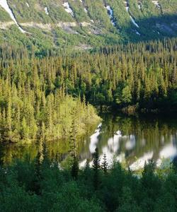 Кольский полуостров