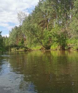 сплав по Оке