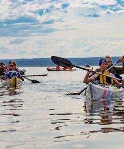 Тур по Ладожскому озеру