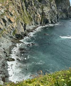 Местный пейзаж