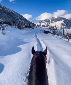 Конная прогулка в Карачаево-Черкесии