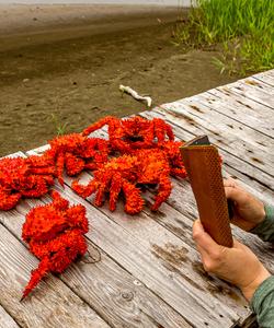 Дальневосточные крабы