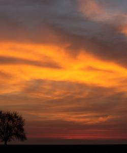 Местные пейзажи