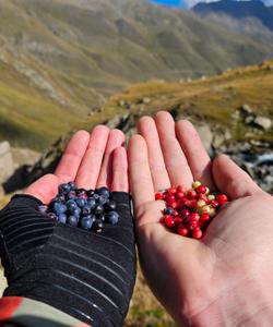 Треккинг в Приэльбрусье