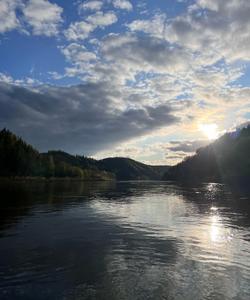 Местный пейзаж