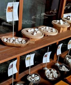 Музей пельменя, Миасс