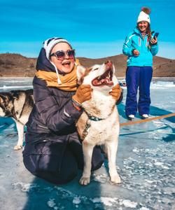 Питомник хаски на Байкале