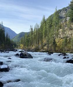 Река Кучерла на Алтае
