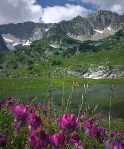 Горный пейзаж