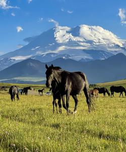 Горный пейзаж