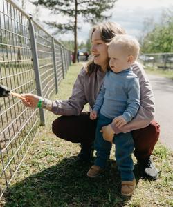 Семейный тур в Карелию