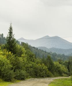 Поднебесные Зубья