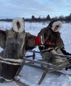 этнотур в Ненецкий АО