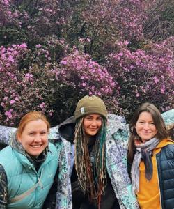 Цветение маральника на Алтае