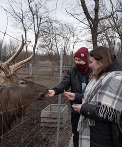 Оленья ферма