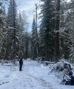 Зимний тур по Горному Алтаю