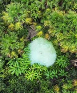 Государственный парк Халапао