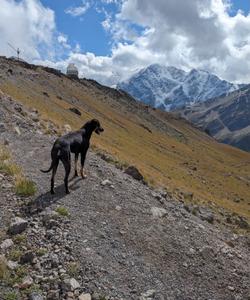Треккинг в Приэльбрусье