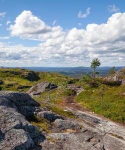 Тур в Карелию