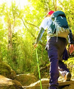 Треккинг по джунглям и мангровым лесам