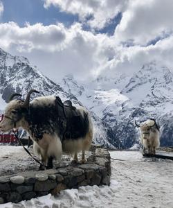 Гора Мусса-Ачитара