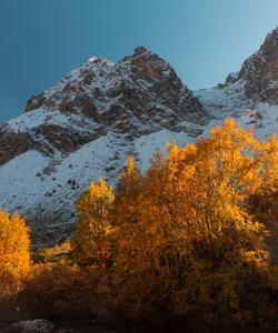 Осень в горах Домбая