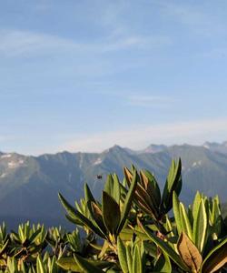 Поход в Красной Поляне